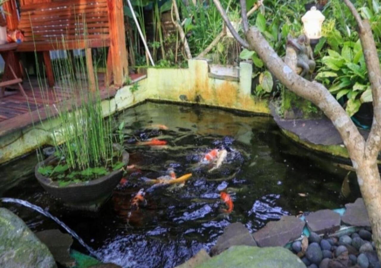Bujak Permai Villa Matahari Lombok Ntb Praya Ngoại thất bức ảnh