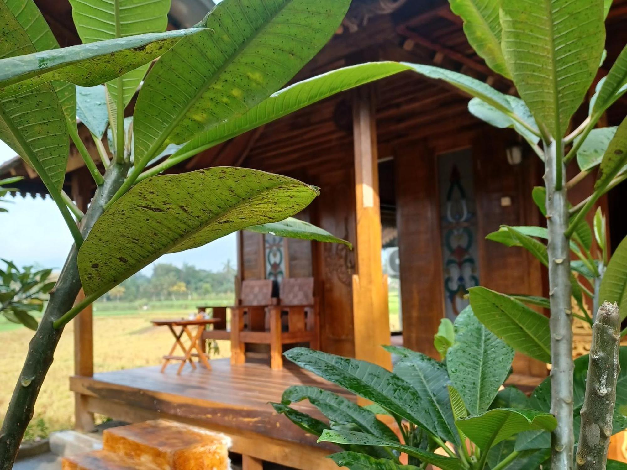 Bujak Permai Villa Matahari Lombok Ntb Praya Ngoại thất bức ảnh